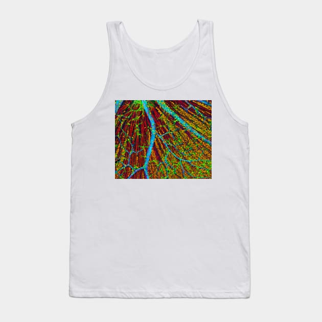 Retina blood vessels and nerve cells (P424/0244) Tank Top by SciencePhoto